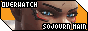 Sojourn 88x31 button
